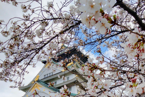 Tour del castello e del tempio di Osaka con audioguida multilingueTour del castello e del tempio di Osaka con audioguida in diverse lingue