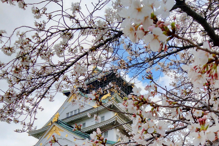 Visite du château et du temple d'Osaka avec audioguide multilingueVisite guidée du château et du temple d'Osaka avec audioguide multilingue