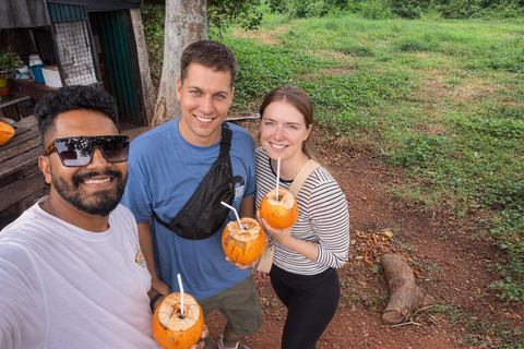From Galle: Koggala Lake, Turtles & UNESCO Galle Fort Tour