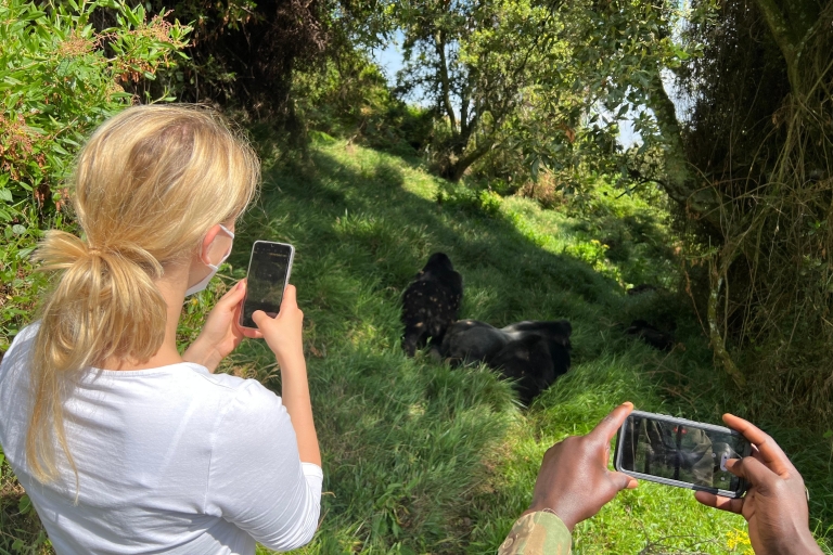 4-Day Rwanda Uganda Gorilla Trekking Tour Experience