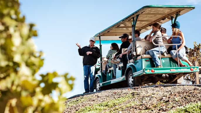 premium napa and sonoma wine tour with lunch