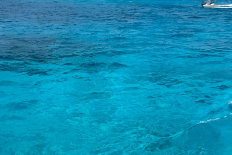 Essential Cozumel: Turquoise Sea, Snorkeling and El Cielo Beach Cozumel Essentials: Turquoise Sea, Snorkeling, and El Cielo Beach
