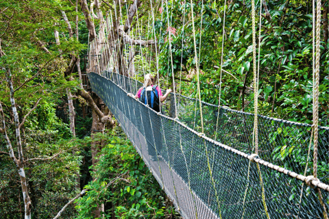 Vanuit Kuala Lumpur: Taman Negara Nationaal Park privétour