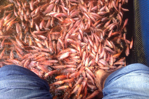 Enjoy a relaxing boat ride in Madu River
