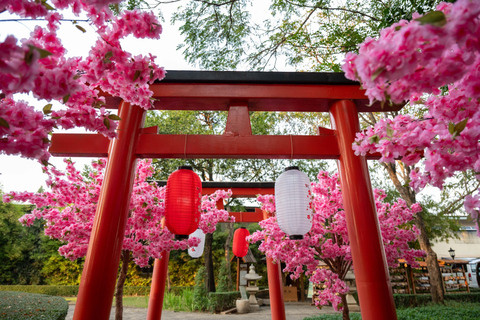 Ayutthaya-Pass: Bis zu 53% sparen – inklusive Mayura&#039;s HouseAyutthaya Pass: Bis 53% Ersparnis – inkl. Mayura&#039;s House