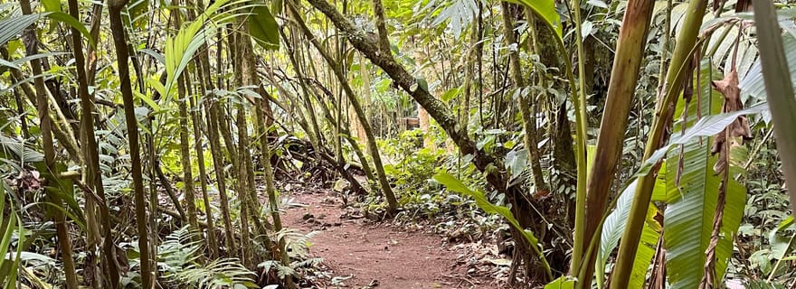 Parc de bien-être Réserve naturelle