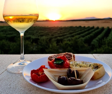 Degustazione di vini sotto le stelle nei vigneti di Agrigento