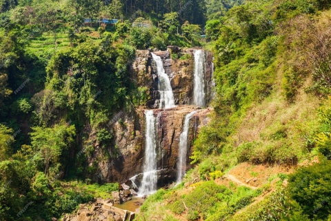 Excursión de un día de Kandy a Nuwara Eliya y Cascada de Ramboda