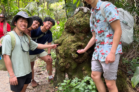 San Juan: El Yunque Regenwaldwanderung &amp; Luquillo BeachSan Juan: Wanderung durch den Regenwald El Yunque &amp; Luquillo Beach