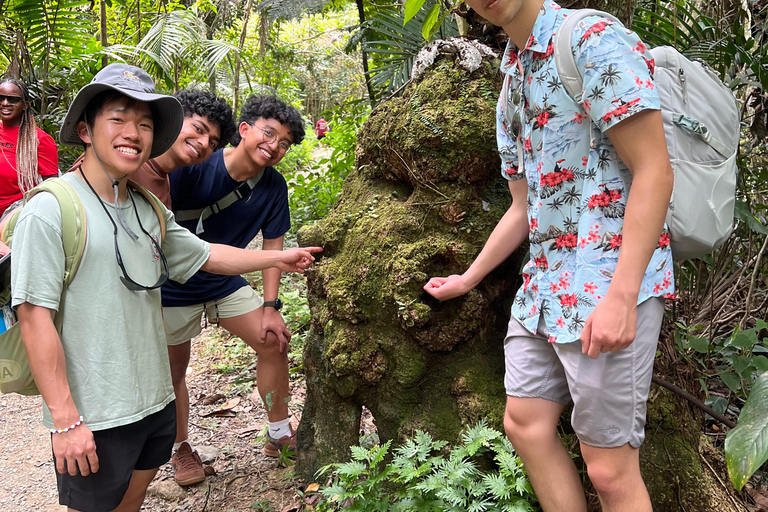 San Juan: El Yunque Regenwaldwanderung &amp; Luquillo BeachSan Juan: Wanderung durch den Regenwald El Yunque &amp; Luquillo Beach