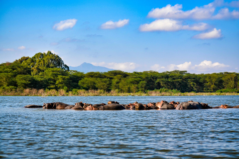 Mara Majesty & Nakuru Splendor – 4-Day Wildlife Safari