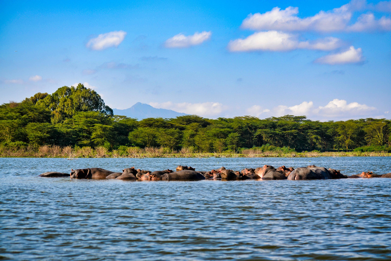 Mara Majesty & Nakuru Splendor – 4-Day Wildlife Safari
