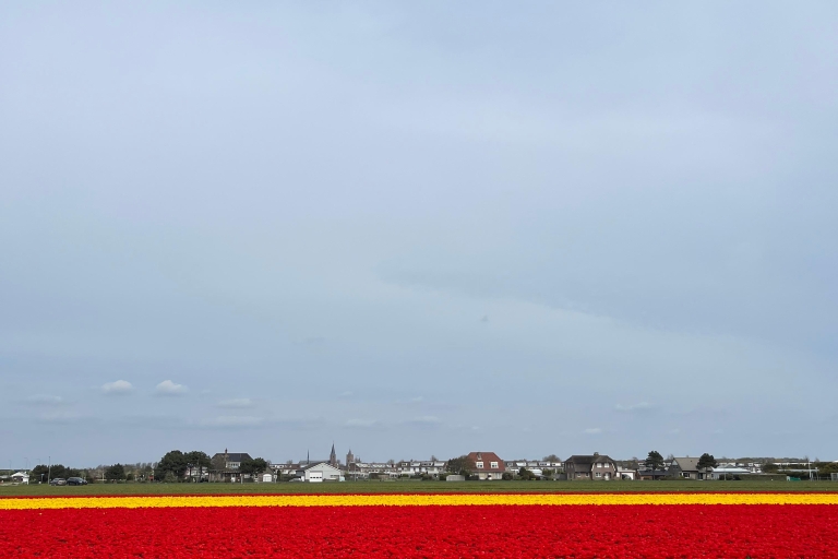 Amsterdam: Keukenhof y Campos de Tulipanes Excursión de un día en privado