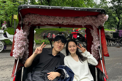 NYC : visite guidée de luxe en vélo-taxi dans Central ParkNew York : visite guidée de luxe en vélo-taxi dans Central Park