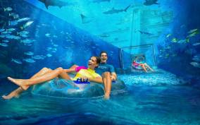 Dubai: Atlantis Aquaventure & Lost Chambers Aquarium Ticket