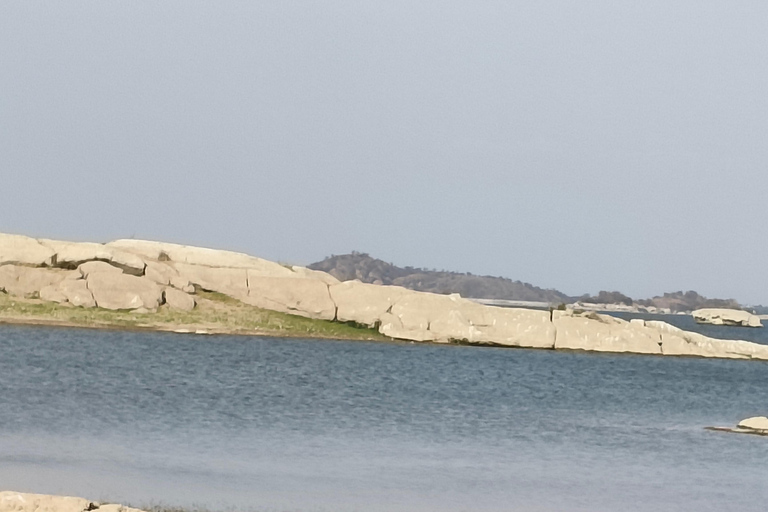 Udaipur to Jodhpur: Ranakpur Temple & Jawai Leopard Safari