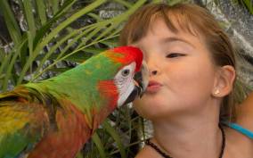 Los Cabos: Animal Sanctuary Tour