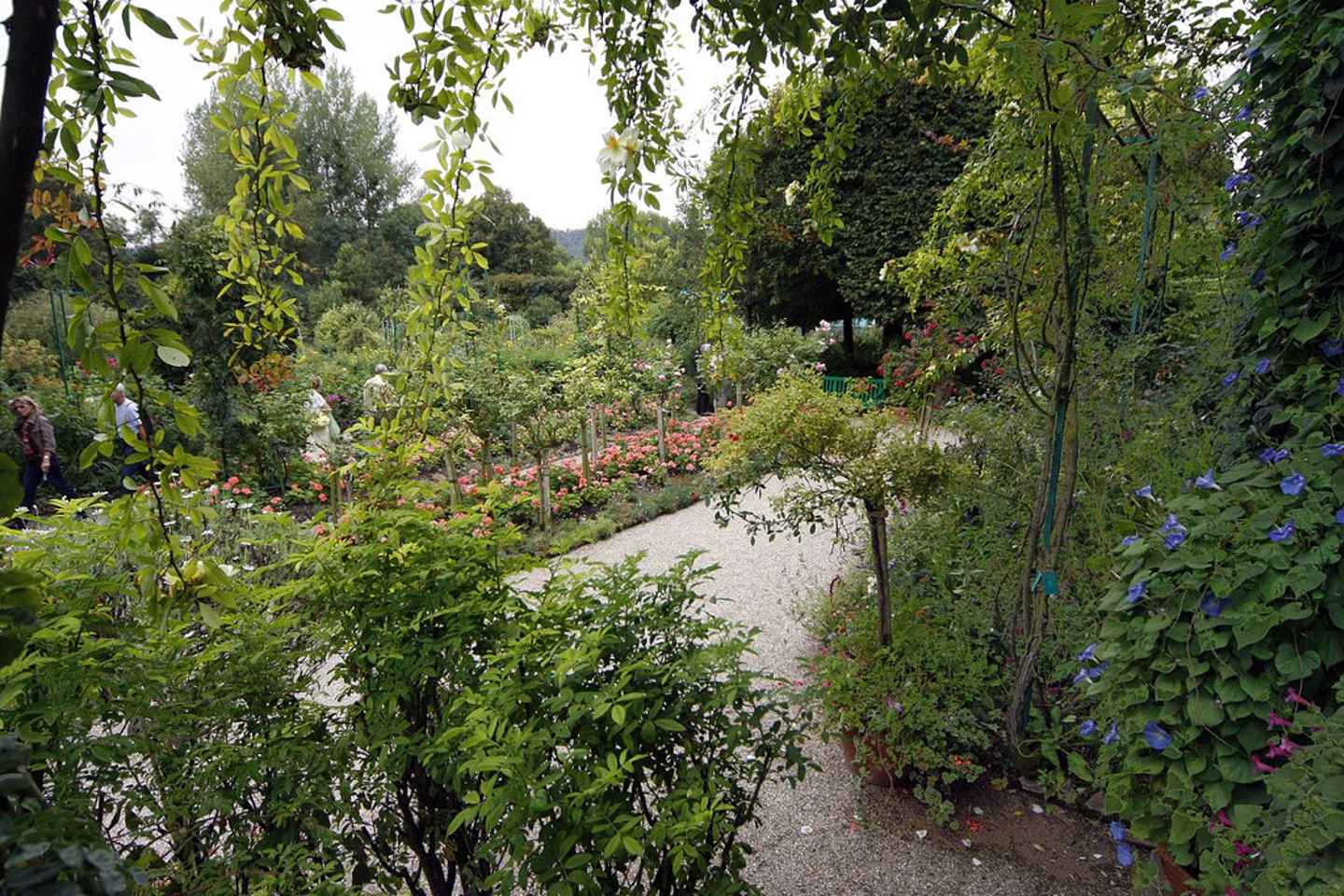 From Paris: Giverny and Monet's Home Day Trip