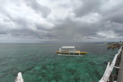 Cebu Nalusuan Island & Marine Sanctuary | Joiners Tour Nalusuan Island Tour