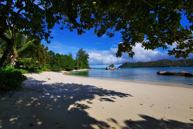 Praslin: Entdecke die Insel mit einem lokalen Guideprivate Tour durch Praslin auf Englisch