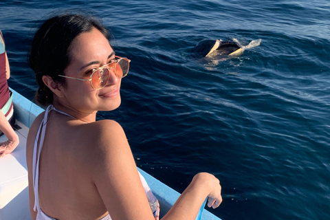 Puerto Escondido: Bootstour zu Delfinen und MeerestierenPrivate Tour