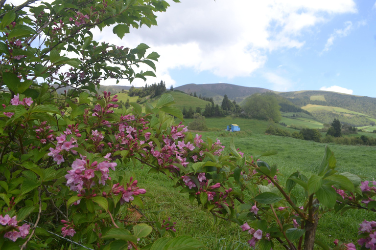 Sao Miguel Hike to Janela do Inferno and Lagoa do Fogo