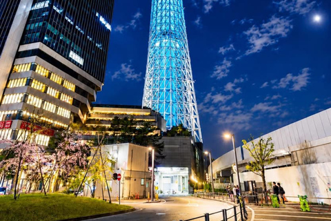 Tokyo Prestige: Luxury Chauffeur Tour with Private Guide 10 Hours Customized Tokyo Tour in Luxury Alford or Vellfire
