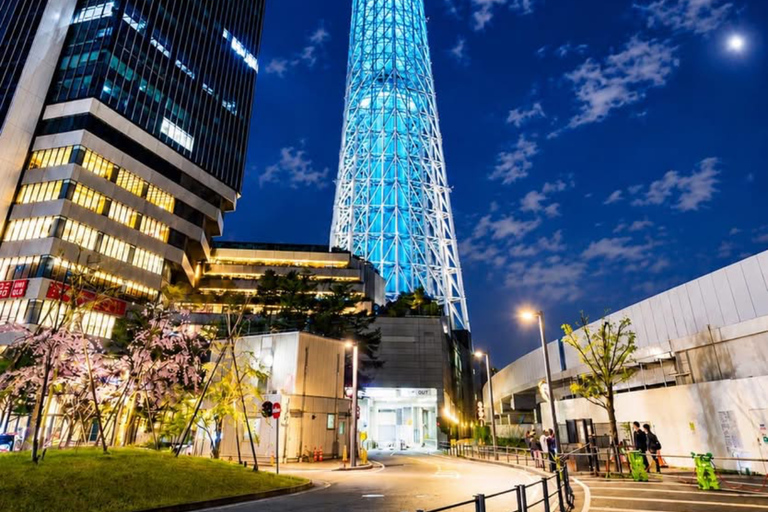 Tokyo Prestige: Luxury Chauffeur Tour with Private Guide 10 Hours Customized Tokyo Tour in Luxury Alford or Vellfire
