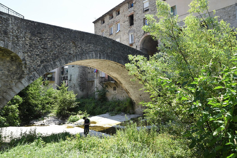 De Franse Rivièra en de Franse Alpen in één dag