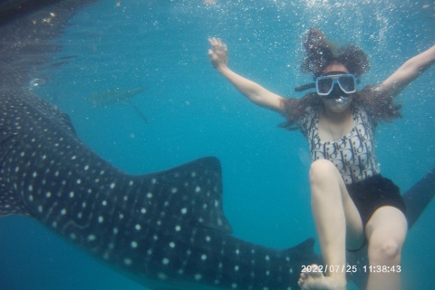 Cebu : Rencontre avec les requins-baleines, chutes de Tumalog et Sumilon SanbarCebu City : Requins-baleines, île de Sumilon et chutes de Tumalog