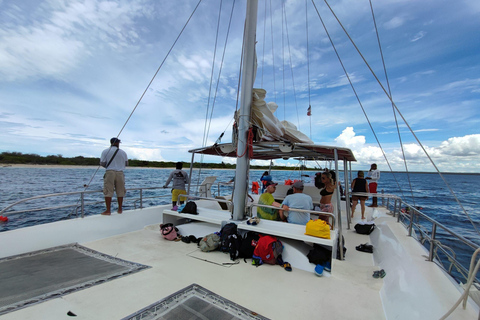 Touristenpaket in Punta Cana mit Buggy und Saona mit Transport inklusive