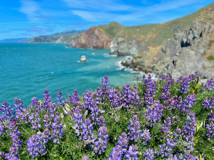 CUSTOM PHOTO ADVENTURES TO THE BAY AREA'S MOST EPIC SCENERY image 2