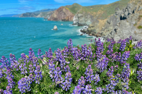CUSTOM PHOTO ADVENTURES TO THE BAY AREA'S MOST EPIC SCENERY 6-HOUR PHOTO ADVENTURE TO THE BAY AREA'S MOST EPIC SCENERY