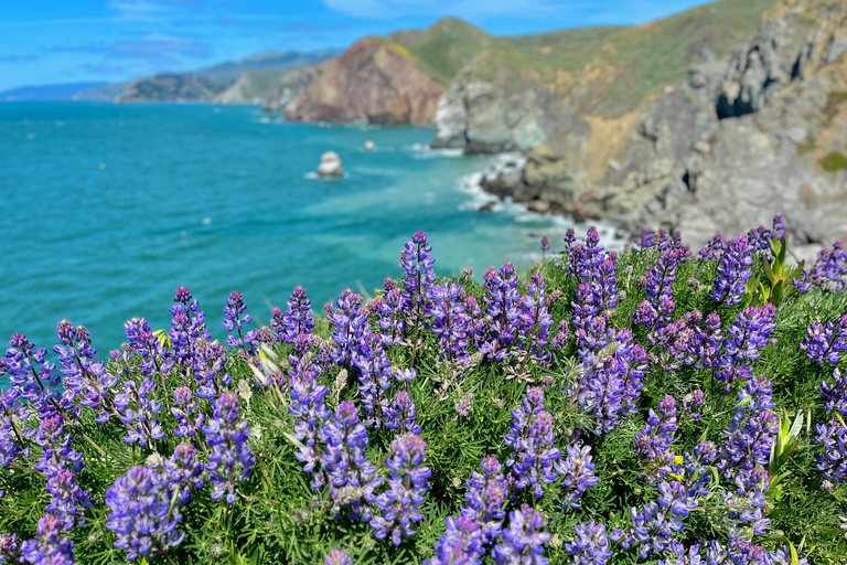 CUSTOM PHOTO ADVENTURES TO THE BAY AREA'S MOST EPIC SCENERY 6-HOUR PHOTO ADVENTURE TO THE BAY AREA'S MOST EPIC SCENERY