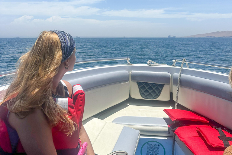 Paracas: Sightseeing Tour of the Ballestas Islands and National Reserve