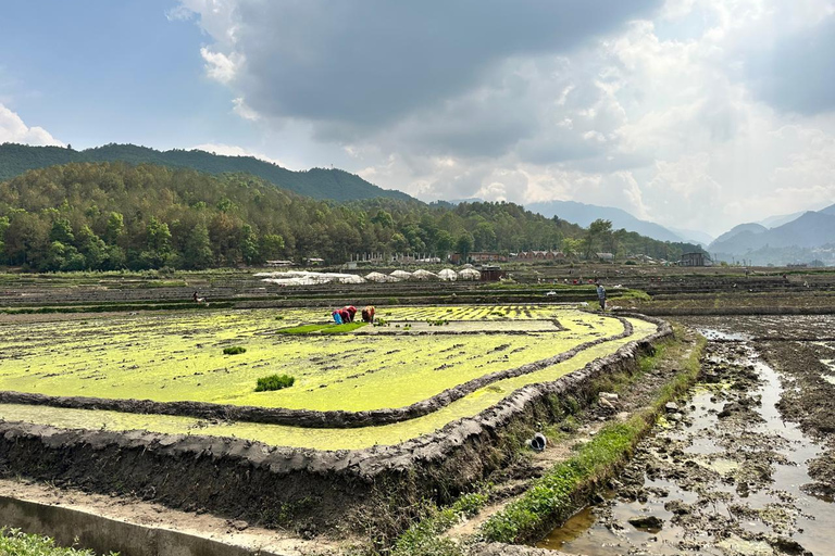 Katmandou : excursion d'une journée au village de Panauti et à Namobuddha