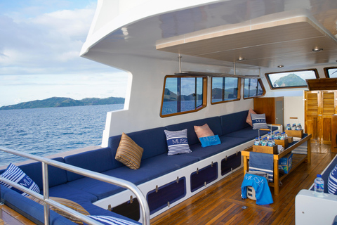 From Labuan Bajo: Komodo National Park Speedboat Day Trip