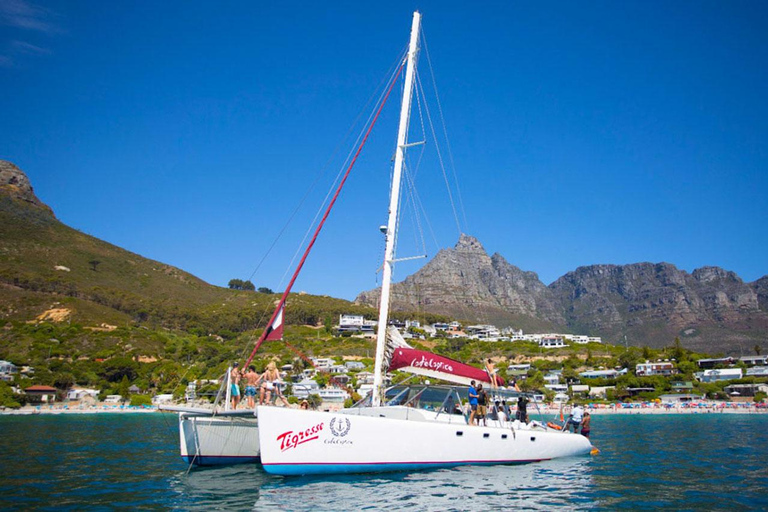 Cape Town: Sunset Catamaran Cruise with Sparkling Wine