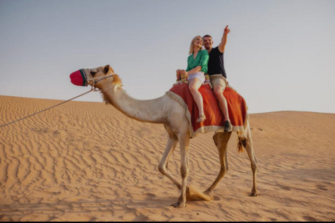 الدوحة: رحلة نصف يوم في الصحراء، وركوب الجمال، ودراجات رباعيةالدوحة: سفاري الصحراء وركوب الجمال ود