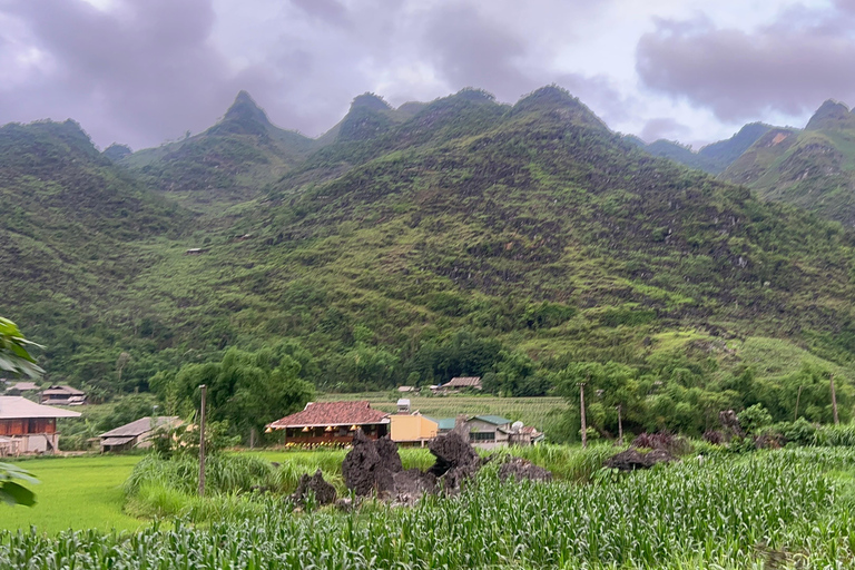 Au départ de Hanoi : 4 jours de visite en voiture de la boucle de Ha Giang, plus un montage vidéo