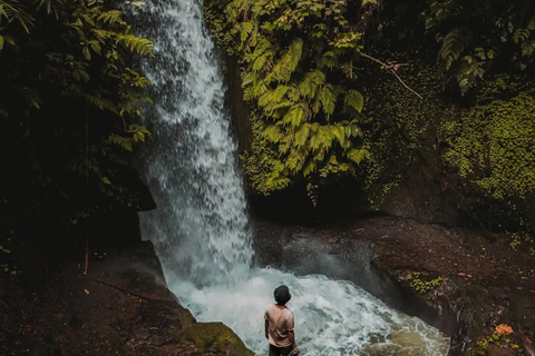 Ubud: Private Tour with Gunung Kawi Temple & Waterfall With Entry Tickets