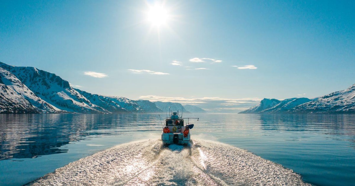 Von Alta aus AbenteuerKreuzfahrt im Alta Fjord GetYourGuide
