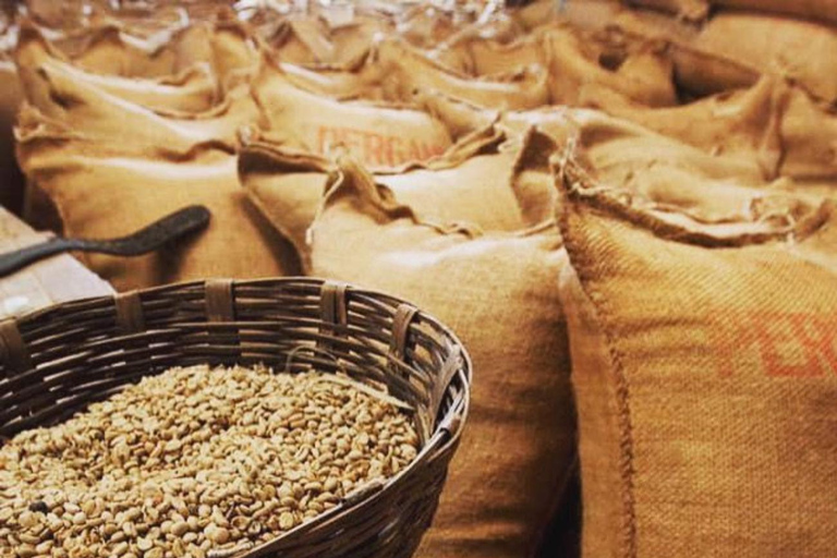 Tapachula: The Chiapas Coffee Route Tapachula: The Coffee Route in Chiapas