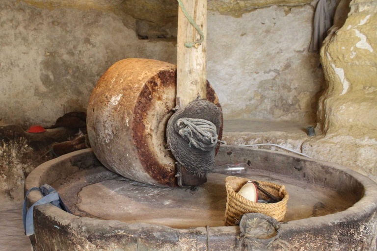 Djerba: Private Excursion to Ksar Ghilane & Tataouine in 1 Day Desert Djerba: Private Day Trip to Ksar Ghilane & Tataouine in the Desert