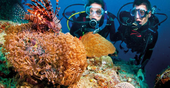 Nha Trang: Scuba Diving Tour with Lunch and Drinks