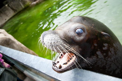 Belfast Zoo: Entry Ticket