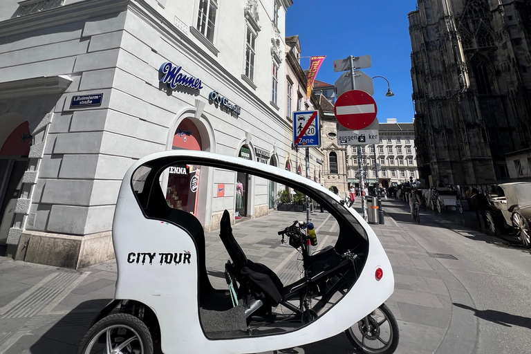 Vienna: Cool rickshaw tour – ice cream, breeze & the most beautiful photos
