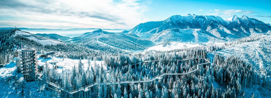 Zakopane : promenade dans la canopée, téléphérique et prise en charge