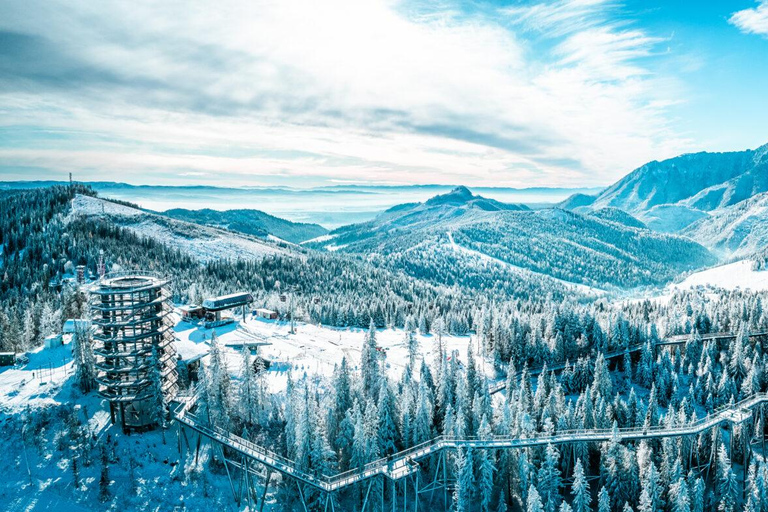 Zakopane: Treetop Walk & Cable Car with Pickup