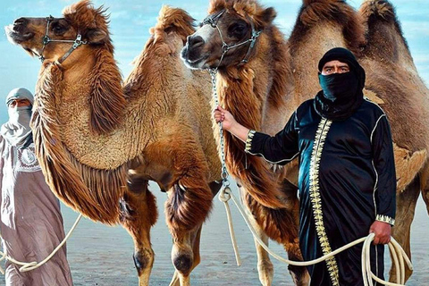 Peru: Camel Ride and Wine Tasting in the Desert